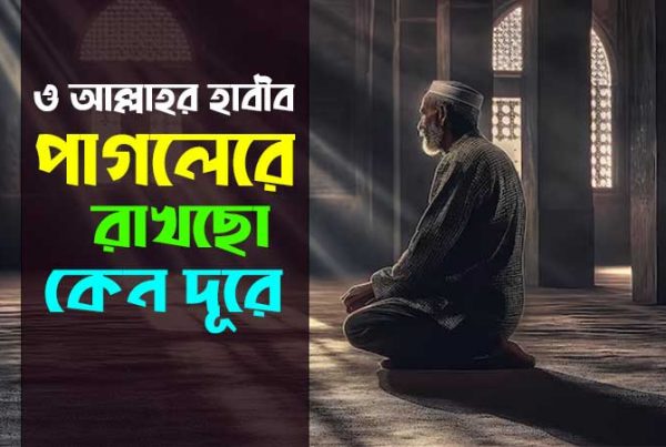 ও আল্লাহর হাবীব, পাগলেরে রাখছো কেন দূরে bangla gojol lyrics